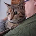 Sprytka  do adopcji. Ostoja Mruczków