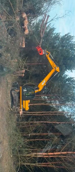 Wycinka samosiejek, sadów, zarośli skupujemy drewno na pniu!
