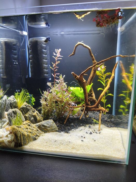 Akwarium 30L komplet