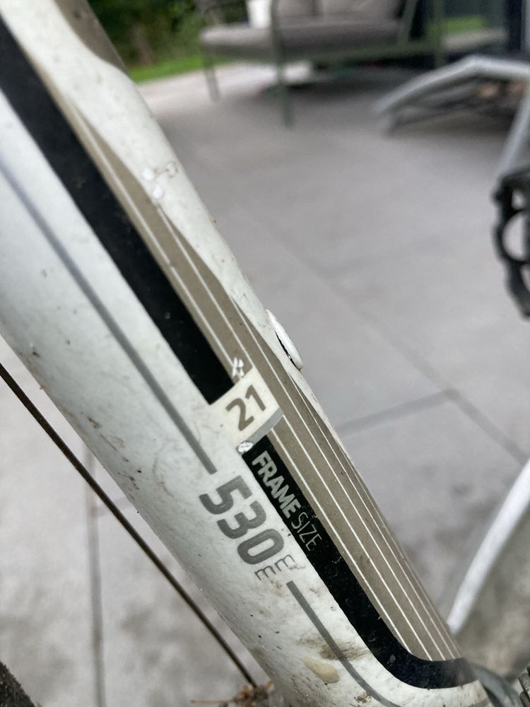 Rower Kellys Stylus
