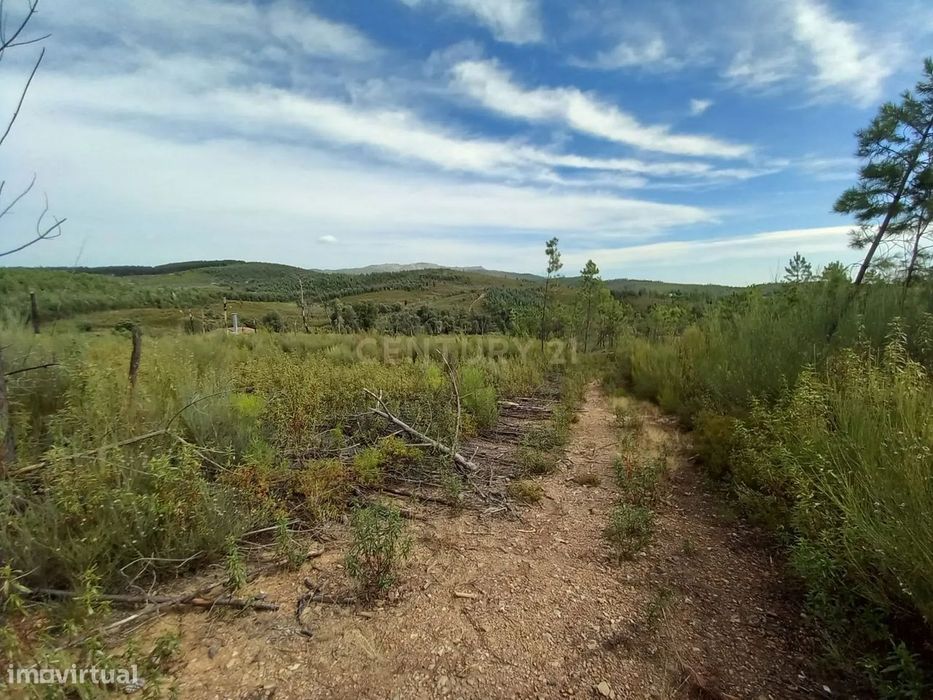 Terreno com 17040m2 em Sobral do Campo