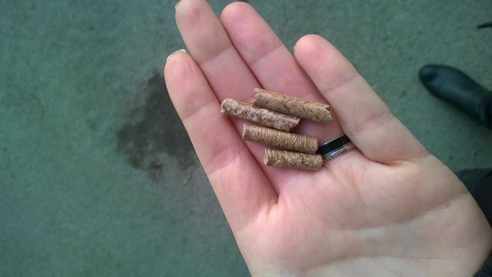 Pellet trocinowy z transportem