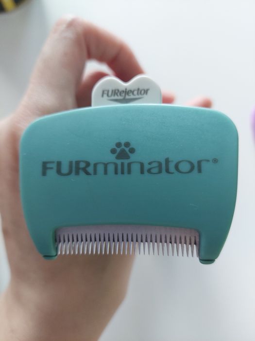 FURminator для котів з короткою шерстю