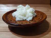 Молочний (кефірний, тибетський) столова ложка гриб