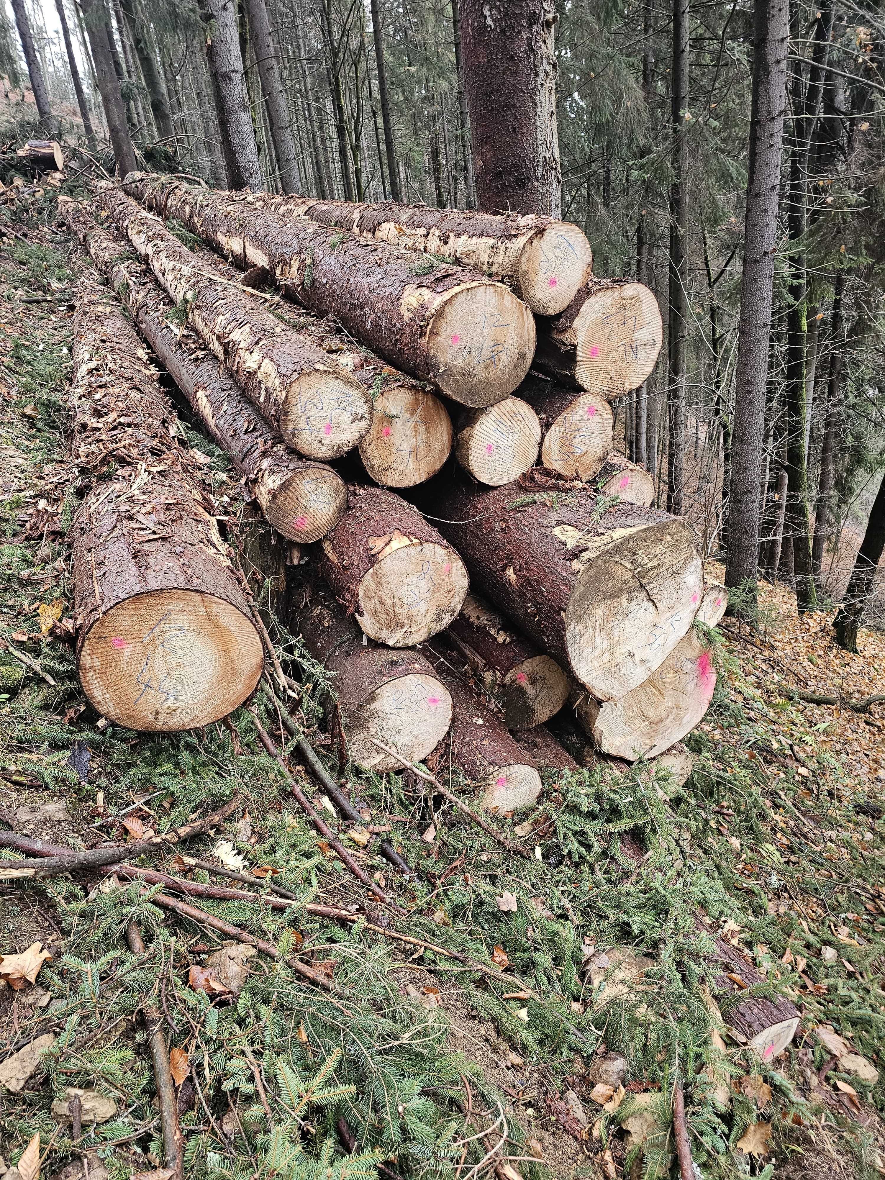 Drewno Tartaczne Jodła Sosna Modrzew