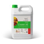 Гербіцид Agrosfera Стилет 5 л, клетодим, 120 г/л