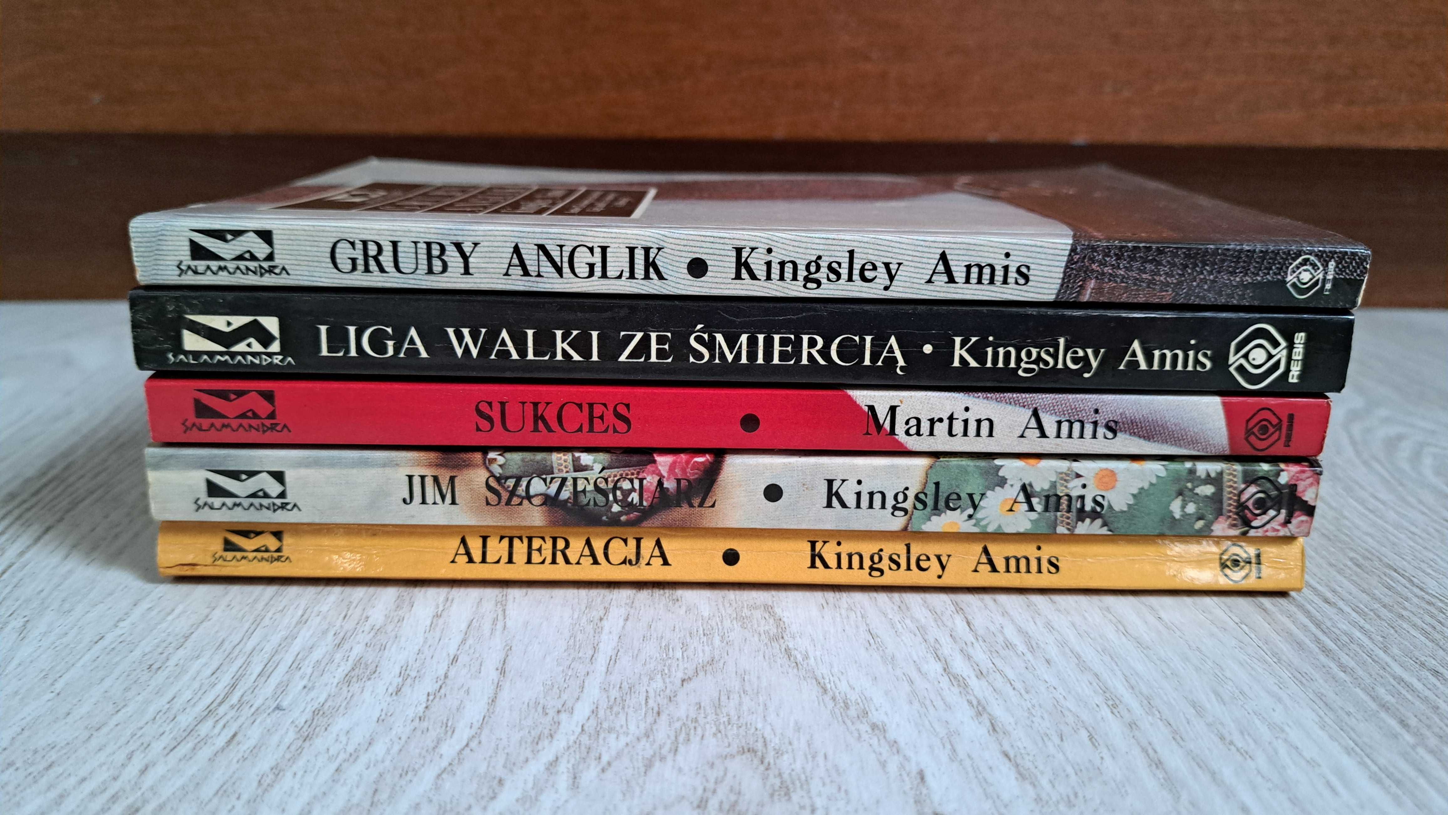 5x Kingsley Amis Alteracja Gruby Anglik Liga walki ze Jim Szczęściarz