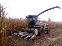 Claas Jaguar 690sl
