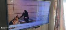 Telewizor 32 cale LG tv hd