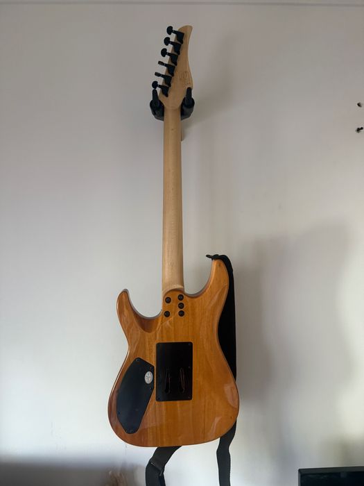 SCHECTER - C-6 Pro FR Aurora Burst