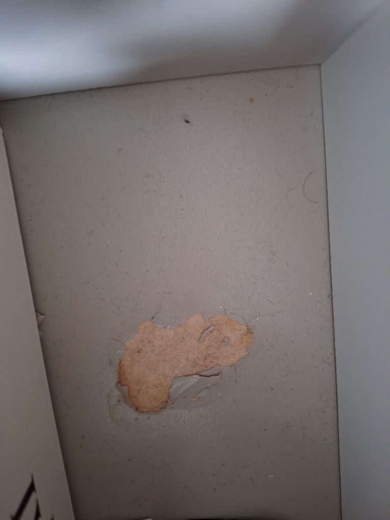 Szafka rtv MALM IKEA 160x48