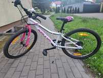 Rower Kellys Kiter