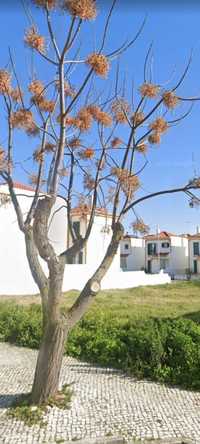 Lote de Terreno no Centro da Azambuja