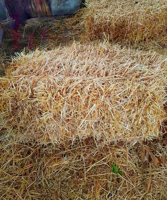 Продам солому в тюках