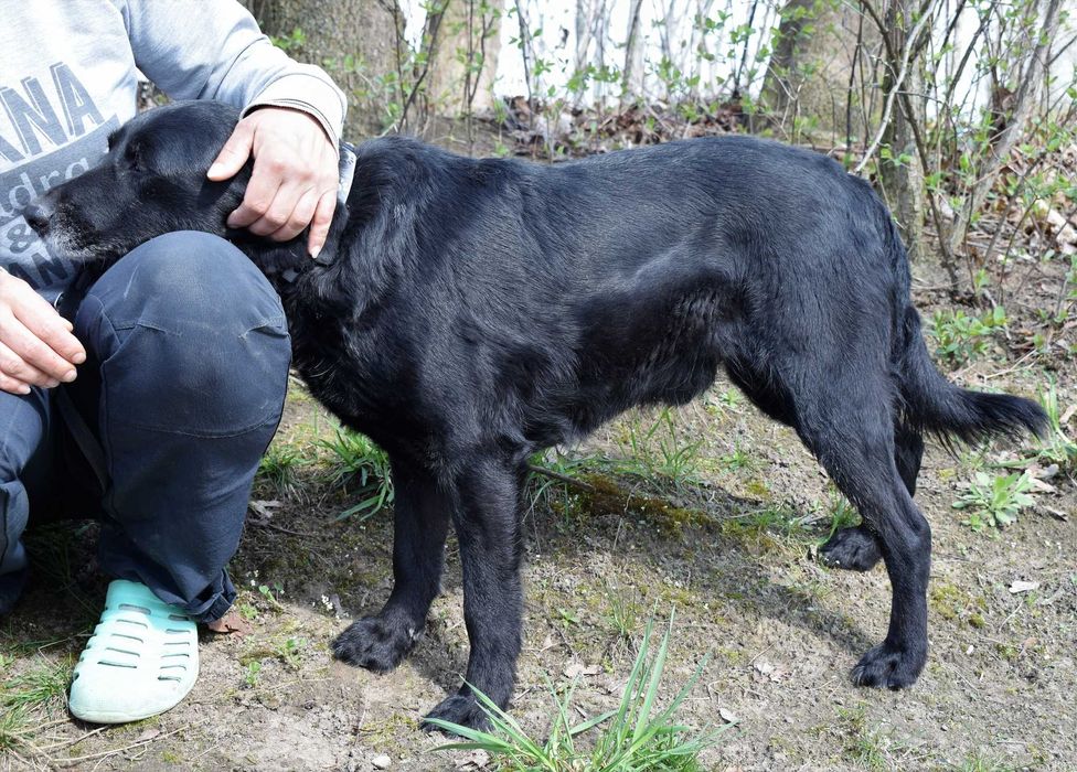 Smutny Tajfun jest pomijany niesłusznie