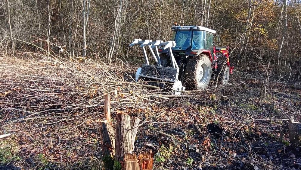 wycinka drzew, mulczer, zwyżka frezowanie pni