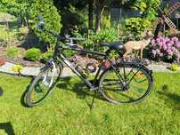 Rower Pegasus Piazza 28 Trekking Miasto