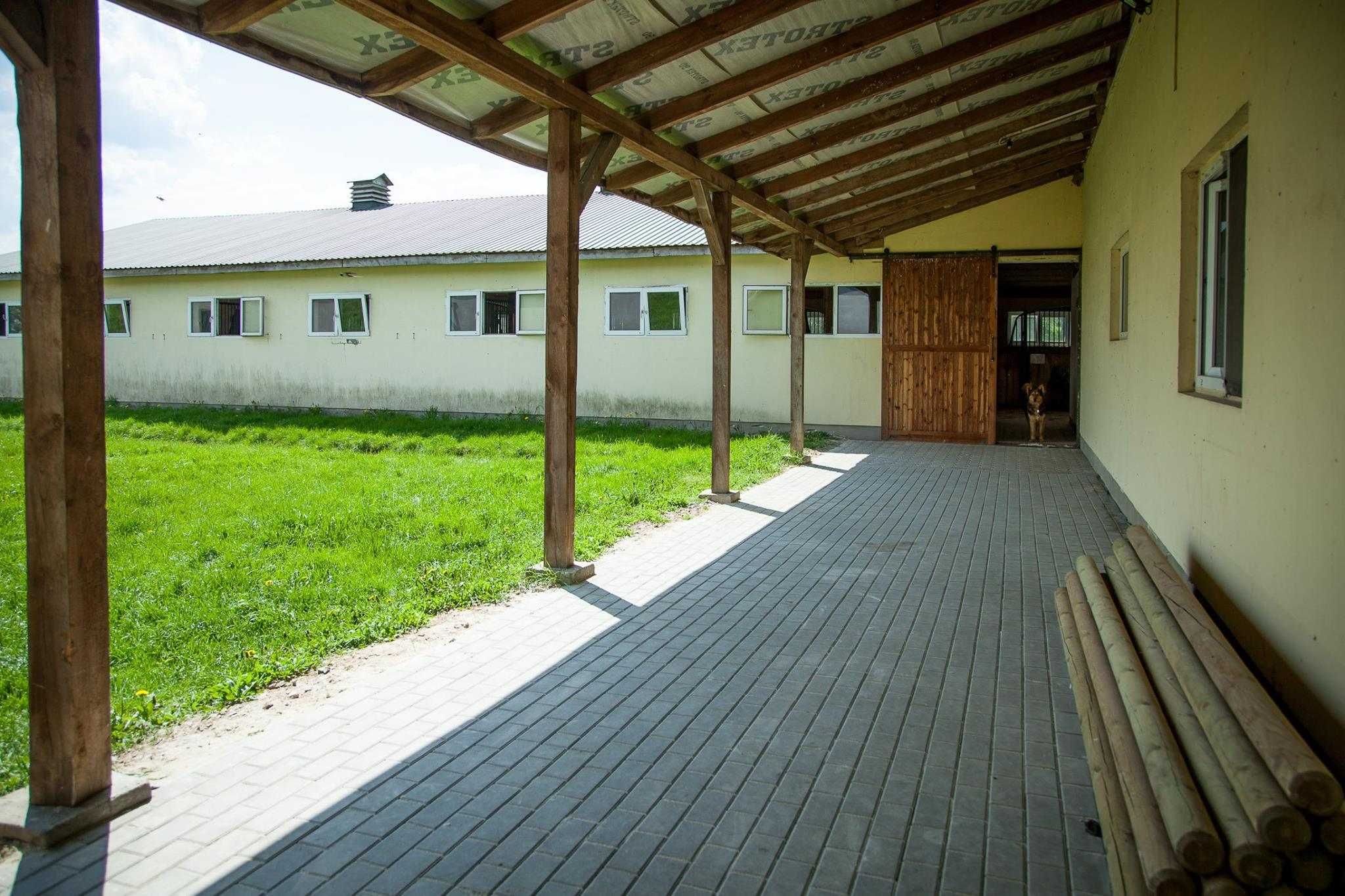 Ośrodek jeździecki, stajnia