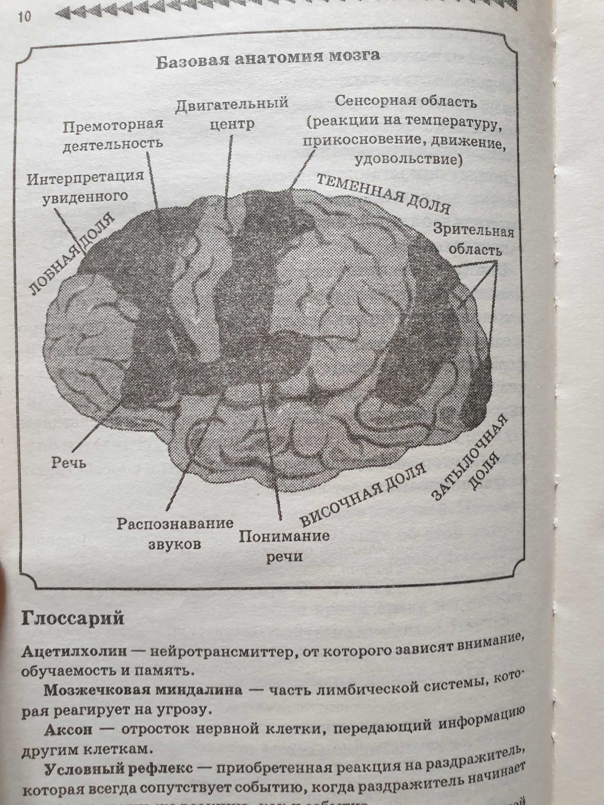 Как развить умственные способности, внимание, память книга-тренажер