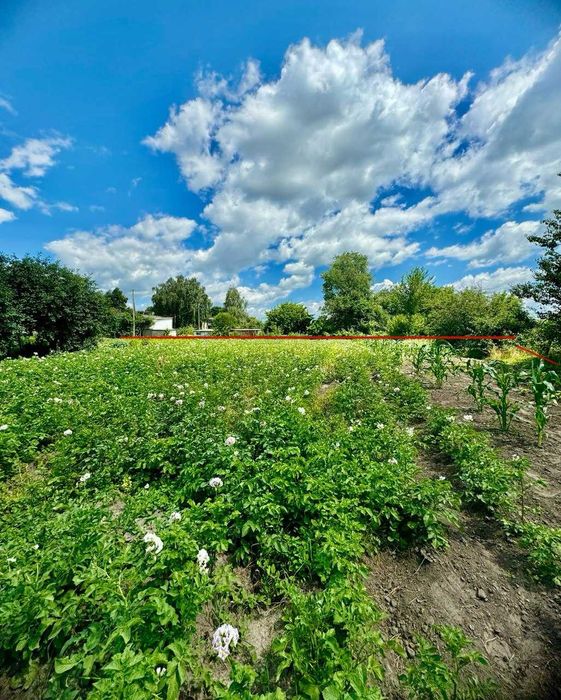 Хата недалеко від ЦЕНТРУ смт Березна! Сертифікат! A11