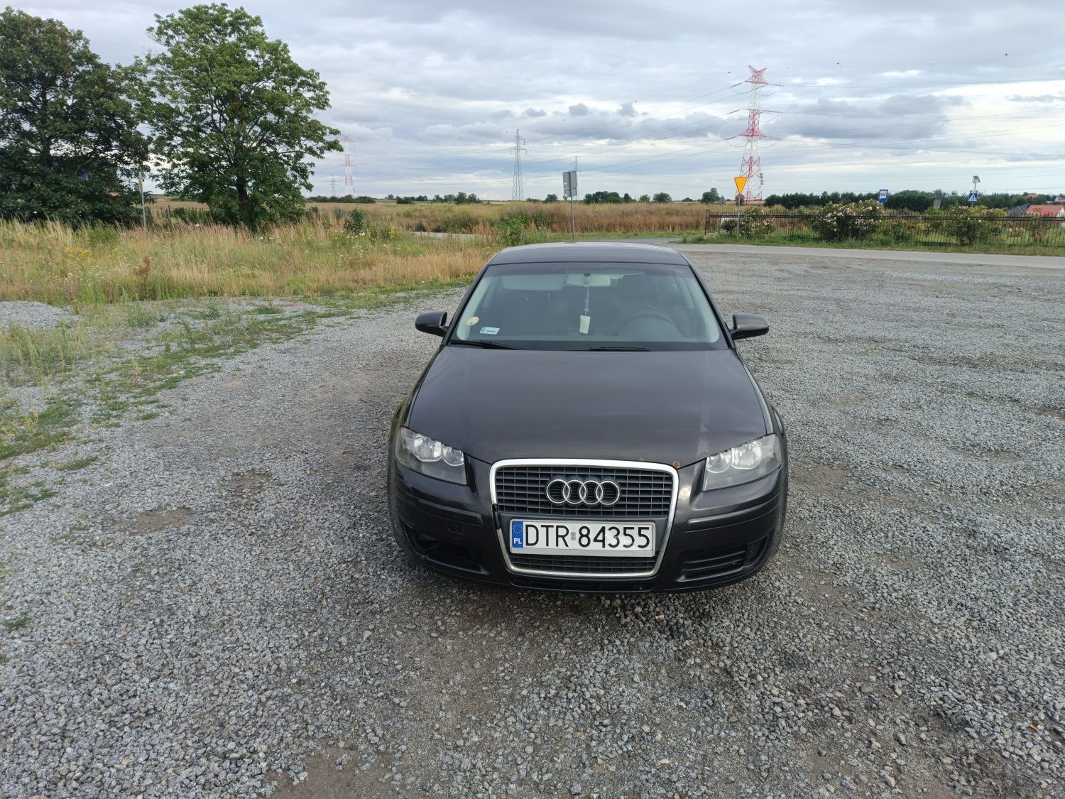 Audi A3 8P 2006 1.9 TDI
