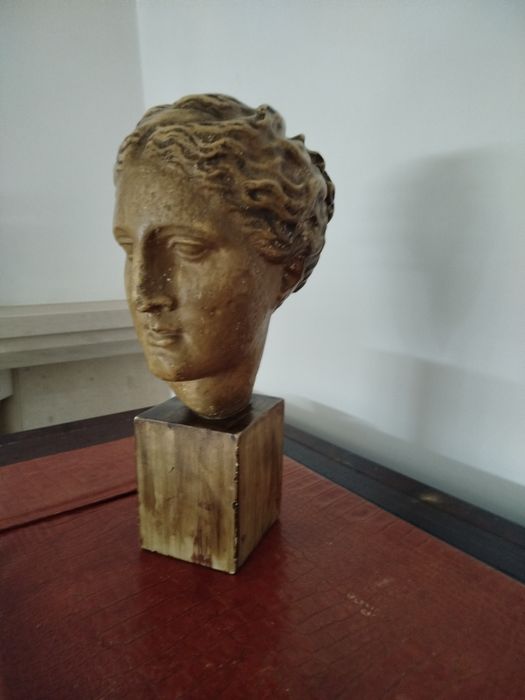 Cabeça classica para decoração