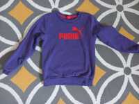 Bluza chlopieca puma 128