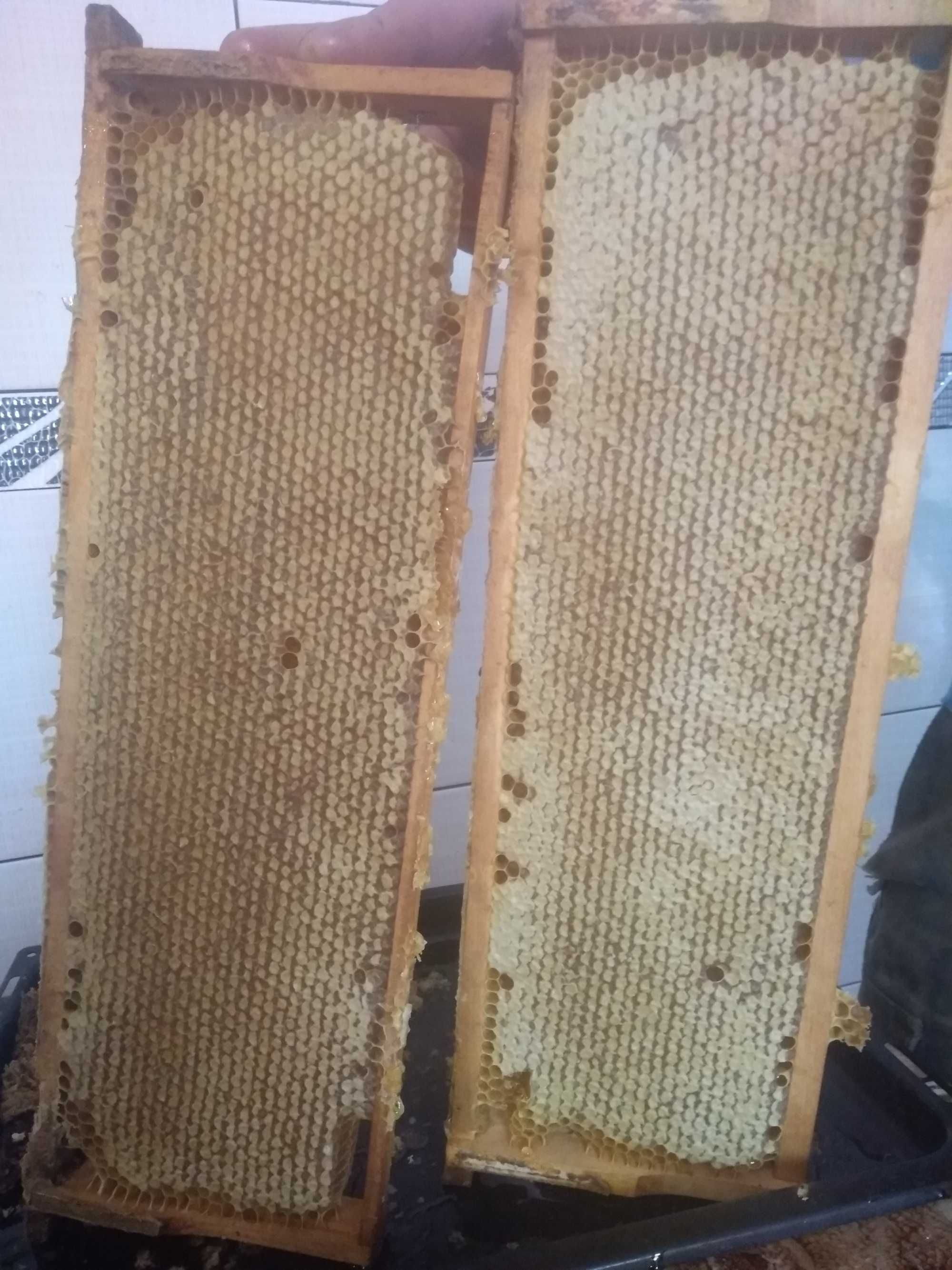 Продам мед різнотрав`я
