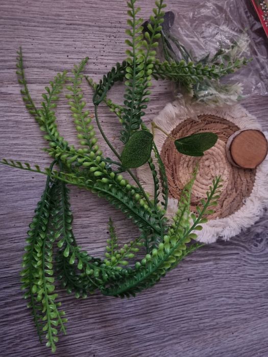 Ozdoby do terrarium