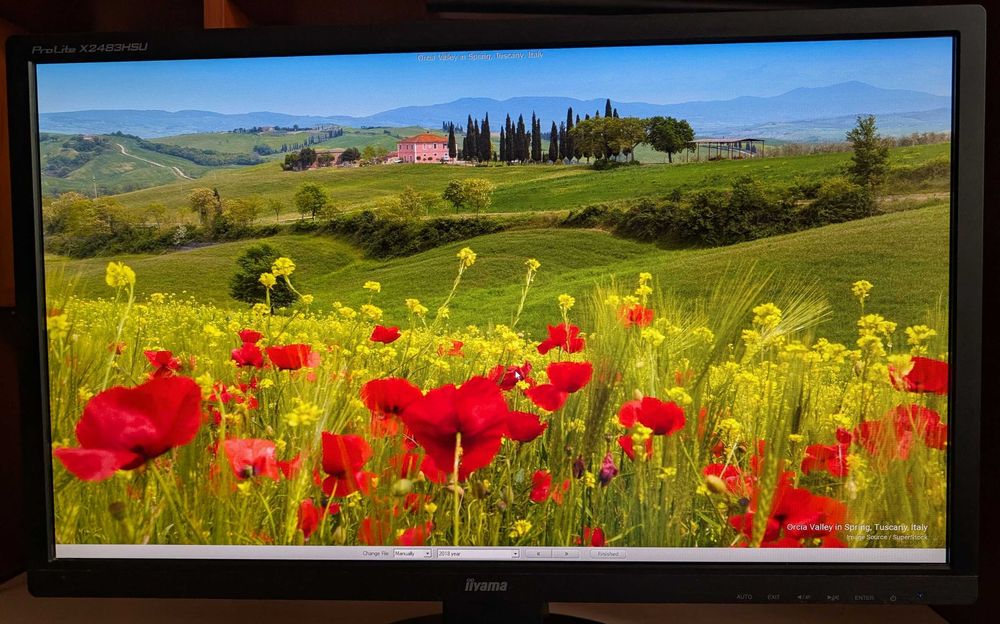 Монітор iiyama ProLite X2483HSU 24 "