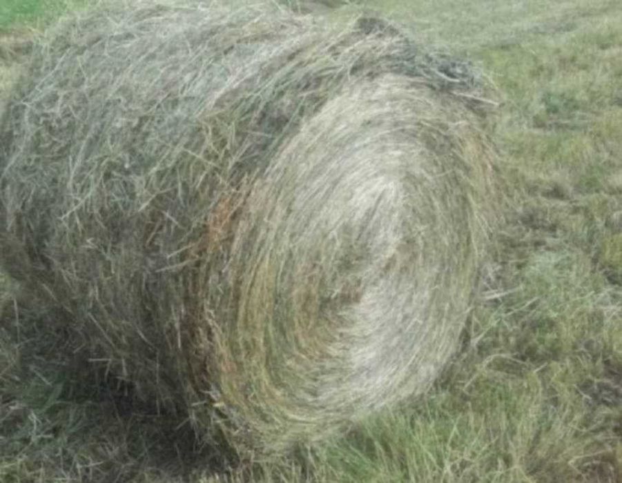 Siano w belach owijane sznurkiem