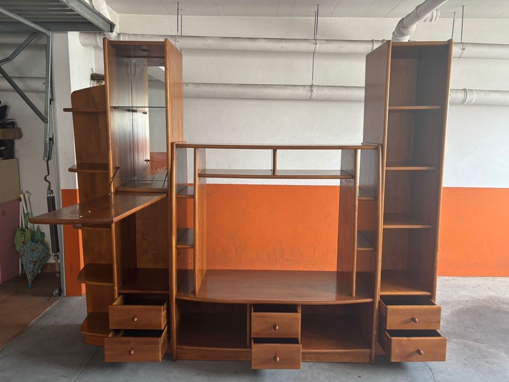 Conjunto de moveis para sala e televisão