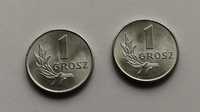 Moneta - 1 grosz 1949 stan menniczy
