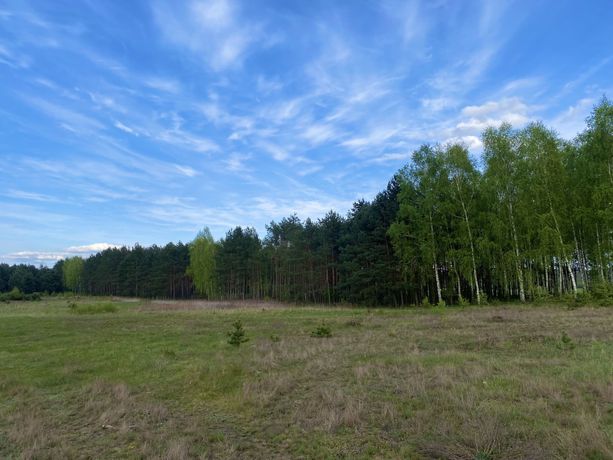 Działka budowlana malowniczo położona pod Golubiem-Dobrzyniem