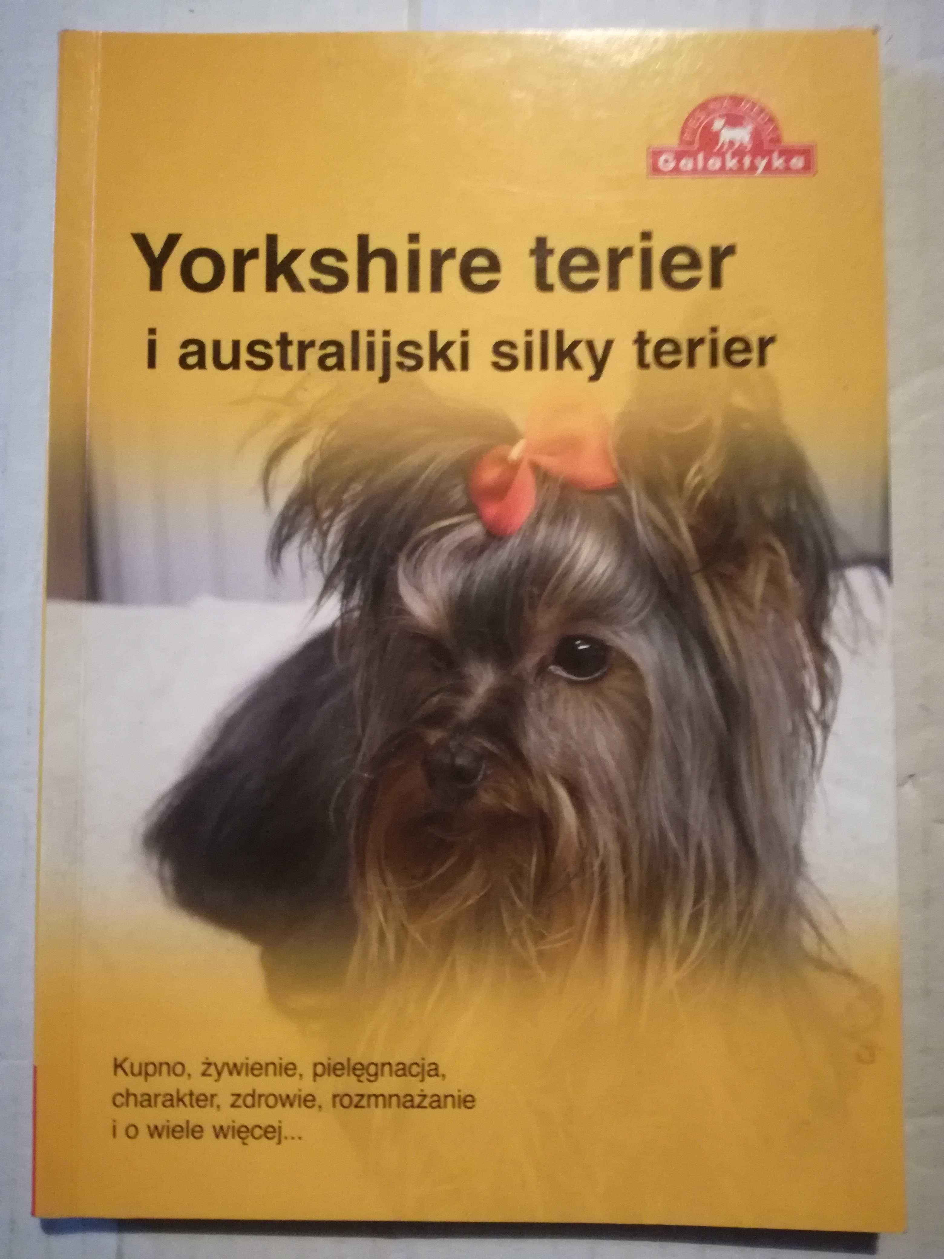 Yorkshire terier i australijski silky terier- poradnik.