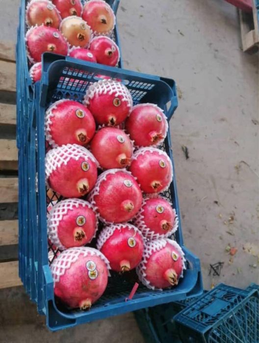 Продам мандарин, гранат, апельсин, виноград оптом