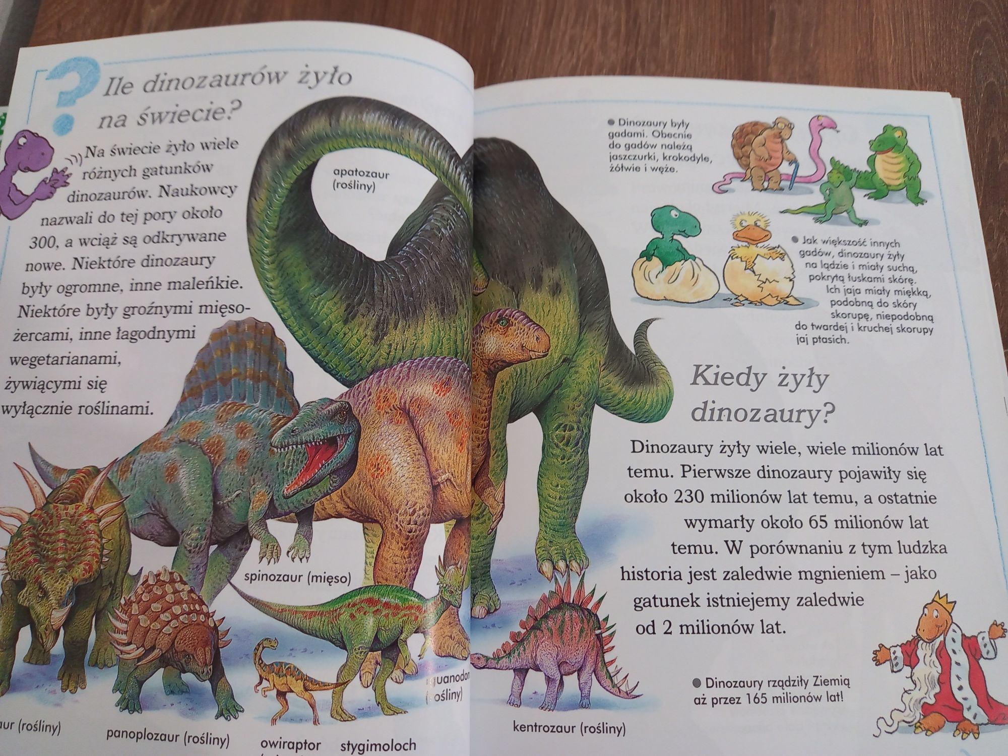 Książka dla dzieci Prehistoria dinozaury