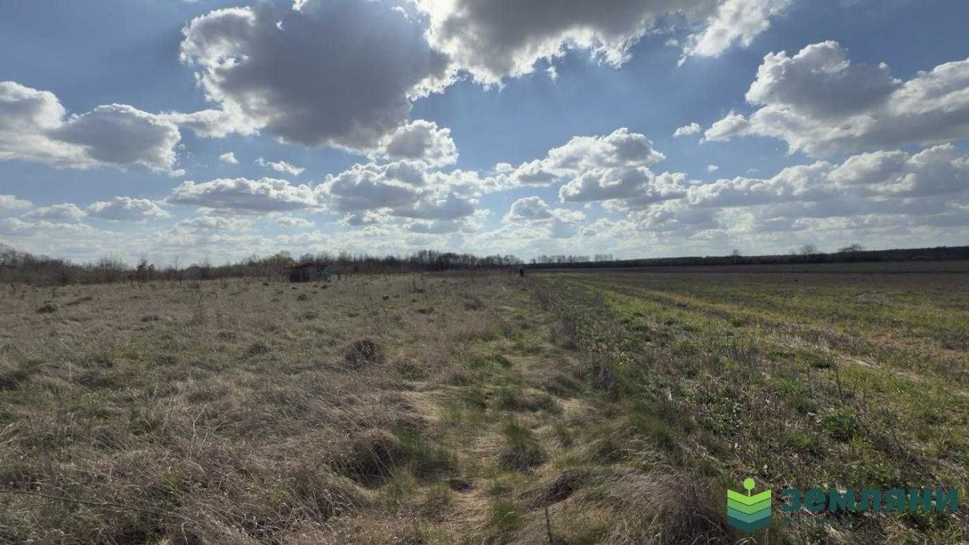Продається земельний пай 1,4 га під сільське господарство в Тисмениці