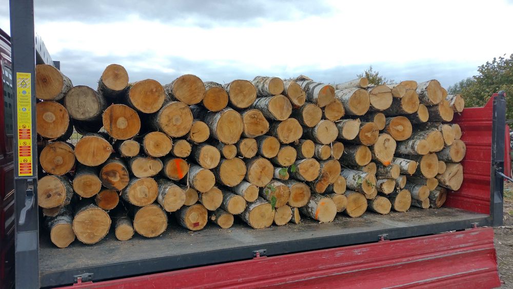 // DREWNO OPAŁOWE, Kominkowe, Krótkie Terminy, Transport GRATIS \\