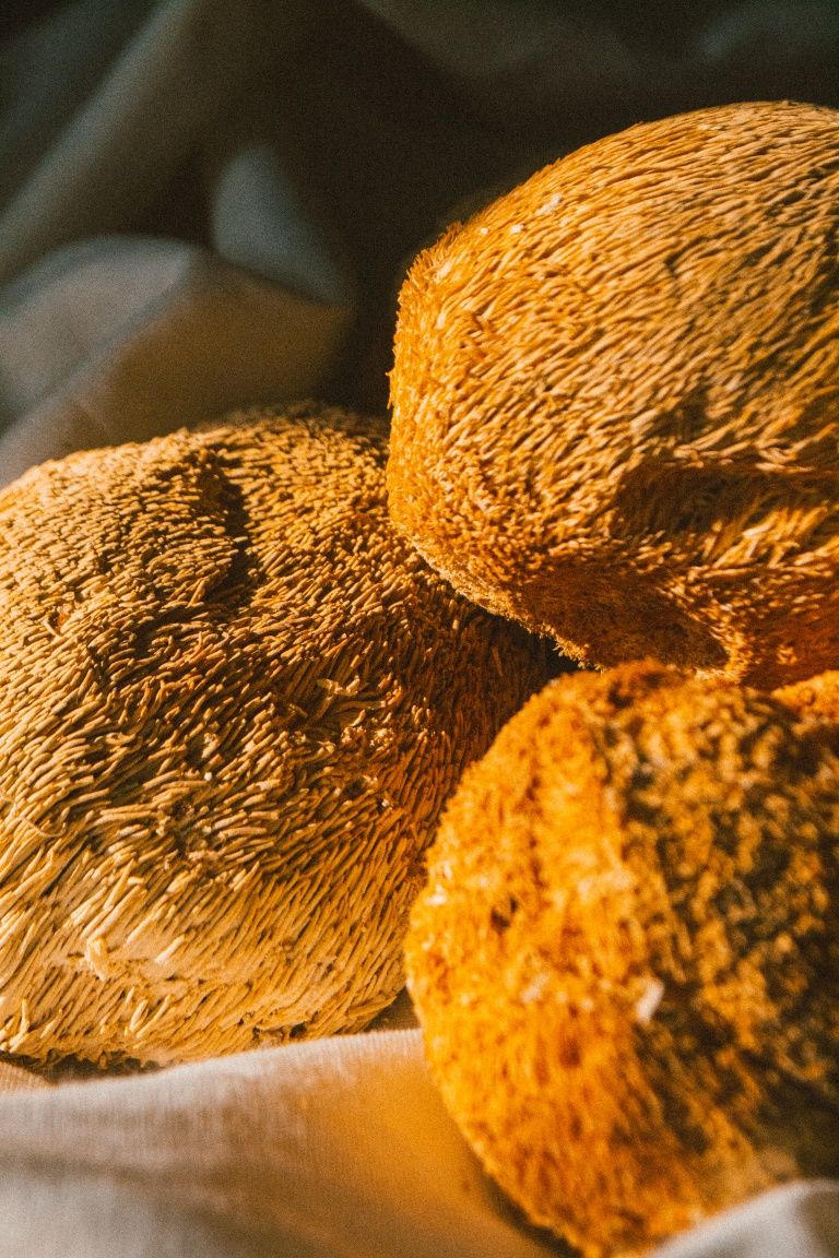 Ежовик гребенчатый 100г , гериций, львиная грива