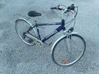 Rower Pegasus Rimini męski 28 cali Shimano 7 speed