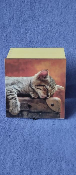 Prezent - kot - hebaciarka