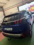 Peugeot 3008 Ano 2019