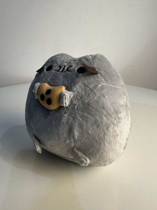 Pusheen z ciastkiem