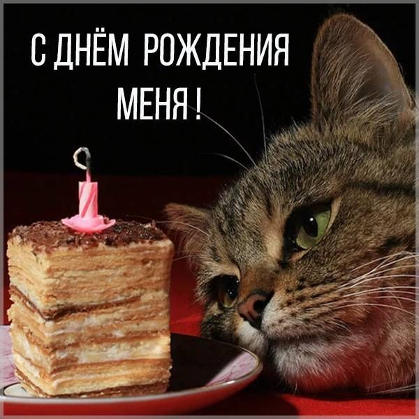 Подарок для меня.