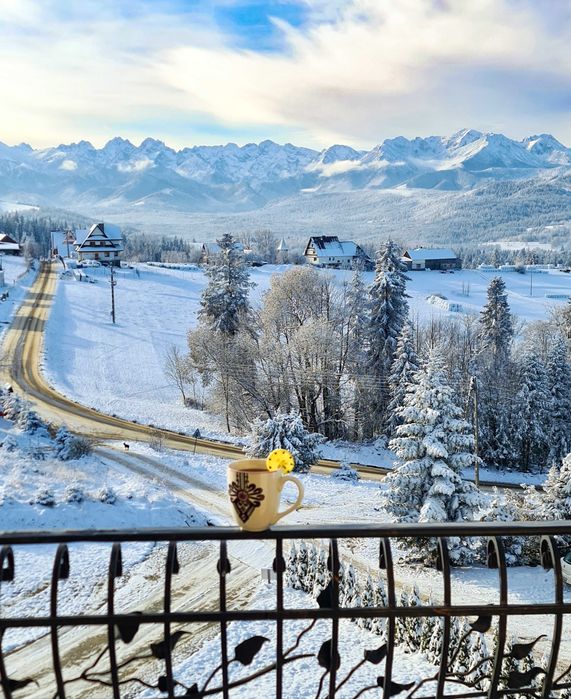 Pokoje apartamenty z widokiem na góry Tatry z kuchnią dzieci bilard
