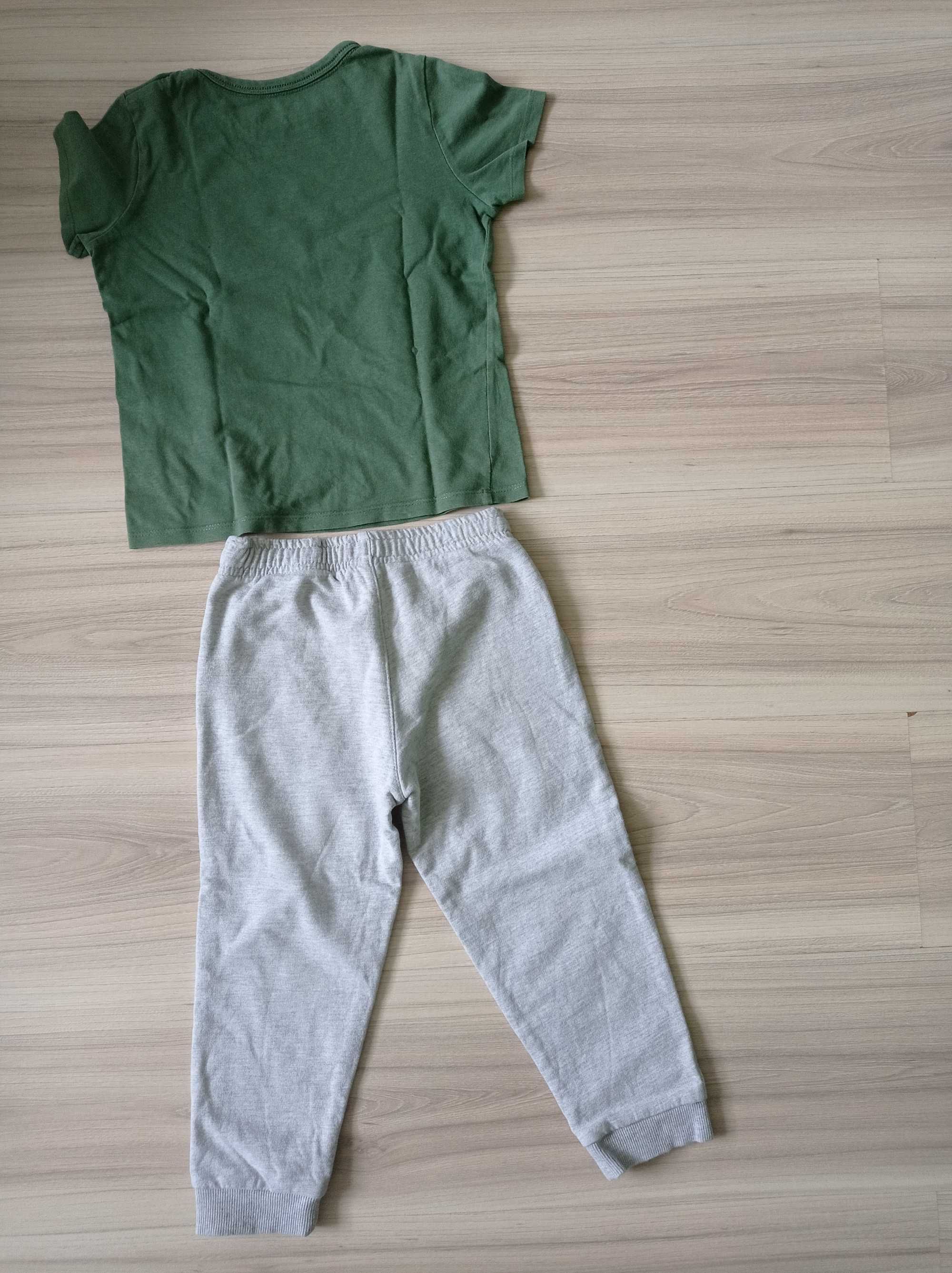 Komplet dla chłopca kameleon: spodnie + bluzka, Pepco