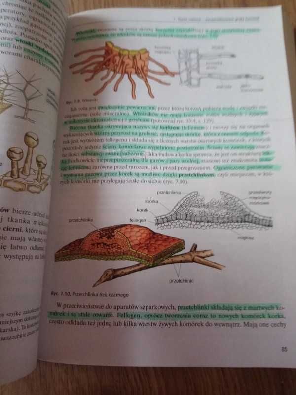 Biologia liceum 1 podręcznik
Miękka okładka 408stron