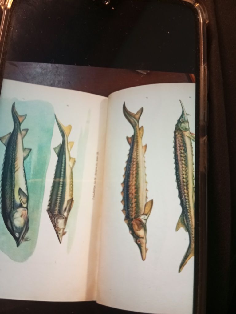 Книга. Сабанеев.