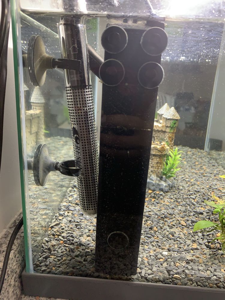 Aquário 48L + Acessórios + Comida